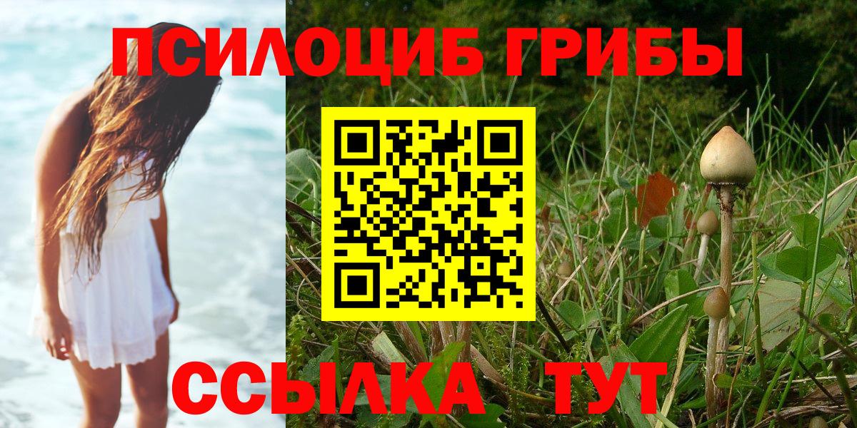 Галлюциногенные грибы GOLDEN TEACHER  Великие Луки 