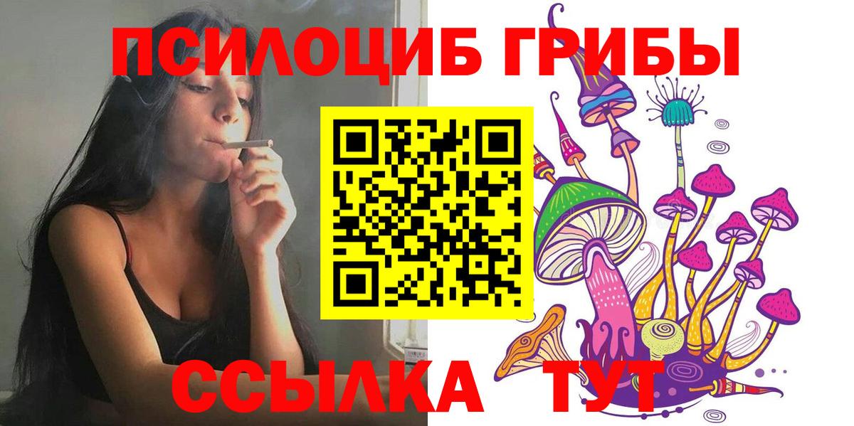 Галлюциногенные грибы Cubensis Великие Луки